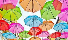 Nguồn: Bright Side