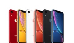 Người dùng Việt Nam có thể sẽ được dùng iPhone "Made in India" trong tương lai. Ảnh: PhoneArena