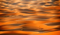 Sahara từng là thiên đường sự sống? Ảnh: Sohu