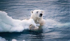 Hiện tượng băng tan do ảnh hưởng bởi biến đổi khí hậu. Ảnh: Zhihu