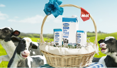 Ảnh minh họa (Nguồn: VNM)