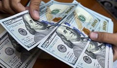 Ảnh minh họa (Nguồn: Internet)