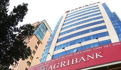 Ảnh minh họa (Nguồn: Internet)