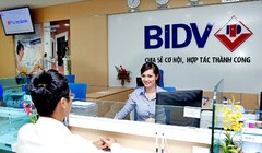 Ảnh minh họa (Nguồn: Internet)