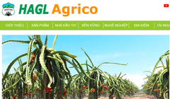 Ảnh minh họa (Nguồn: HNG)