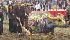 Phó Thủ tướng Thường trực Trương Hòa Bình xuống đồng cày Tịch điền ngày đầu năm mới Xuân Kỷ Hợi (Ảnh: VGP)