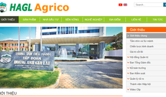 Trang chủ của HAGL Agrico (Nguồn: haagrico.com.vn) 