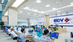 Ảnh minh họa (Nguồn: Internet)