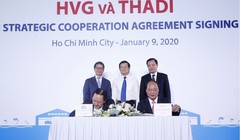 Buổi lễ ký kết hợp tác chiến lược giữa Thadi và HVG (Ảnh: Thaco)
