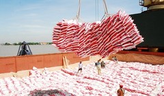 Ảnh minh họa (Nguồn: Internet)