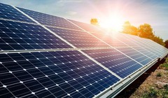 Ảnh minh họa (Nguồn: Internet)