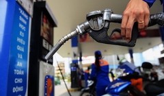 Ảnh minh họa (Nguồn: Internet)