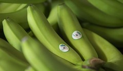 Thagrico dừng đầu tư sở hữu cổ phiếu HNG: Vì đâu? 