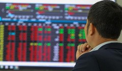 Cổ đông lớn Trần Duy Kiều của TGG là ai?