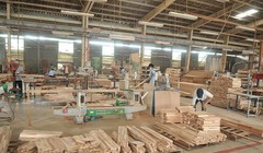 'Bóng' Lâm Việt Furniture tại nhà máy chế biến gỗ 4.400 tỉ ở Bình Định