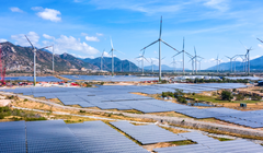 Hé mở khối tài sản 4 tỉ USD của Trungnam Group