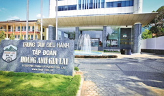 CTCP Gia súc Lơ Pang đặt trụ sở trùng với địa chỉ trung tâm điều hành của Tập đoàn Hoàng Anh Gia Lai