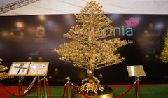 Chiêm ngưỡng "siêu cây" giá bạc tỉ trước tết Nguyên đán 2023