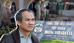 'Bầu' Đức dồn dập báo tin vui, cổ phiếu HAG tăng 50% trong chưa đầy 1 tháng