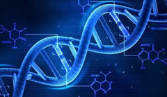 Minh họa trình tự bộ gen người