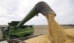 Trung Quốc đã đồng ý mua 50 tỷ USD nông sản Mỹ, hứa mua thêm 200 tỷ USD hàng hóa Mỹ trong 2 năm để đối lại Mỹ không tăng thuế vào ngày 15/12.