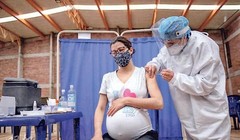 Trung tâm Kiểm soát và Phòng ngừa Dịch bệnh Hoa Kỳ khẳng định phụ nữ mang thai tiêm vaccine mNRA COVID-19 an toàn (Ảnh: AP).
