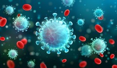 Việt Nam phát hiện biến chủng phụ BA.2.74 của của biến thể Omicron 