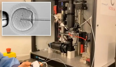 Quá trình tiêm tinh trùng vào trứng được điều khiển cho robot thực hiện qua tay cầm của máy chơi game Sony PlayStation 5 (Ảnh: NewYorkpost).