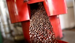 Giá cà phê hạt Robusta hiện ở mức cao nhất kể từ năm 2008 (Ảnh: Getty)