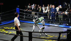 Các võ sĩ robot thi đấu quyết liệt trên võ đài. Ảnh: STCN.