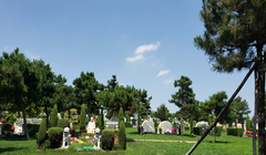 Mỗi ngôi mộ trang trí cầu kỳ có giá tương đương một căn hộ hạng sang. Ảnh: Thepaper.