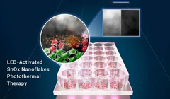 Liệu pháp này nung nóng làm chết tế bào ung thư trong khi tế bào khỏe mạnh được bảo vệ. Ảnh: ACSNano. 