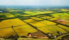 Luật Đất đai 2024 quy định nông dân có đất nông nghiệp bị thu hồi sẽ được bồi thường bằng đất ở, nhà ở.