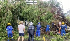 Siêu bão Yagi đổ bộ vào tỉnh Hải Nam, Trung Quốc đã gây tổn thất lớn (Ảnh: Xinhua).