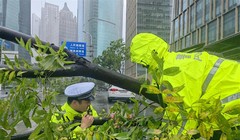 Bão Bebinca vượt qua bão Gloria, trở thành cơn bão mạnh nhất đổ bộ vào thành phố Thượng Hải của Trung Quốc kể từ năm 1949 (Ảnh: Shanghai Daily)