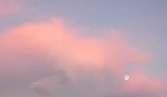 Sản xuất hydro sạch từ năng lượng hạt nhân (hydro hồng) là một giải pháp tiềm năng cho nguồn năng lượng carbon thấp. Ảnh CNBC