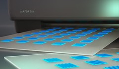 Những miếng dán vi kim vắc-xin in 3D của Viện Công nghệ Massachusetts. Ảnh MIT