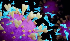 Các kháng thể trung hòa, được mô tả bằng màu xanh lam nhạt chống virus SARS-CoV-2 trong mẫu máu. Ảnh: iStock