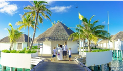 Ảnh: TRG International