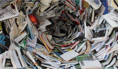 Ảnh: TRG International