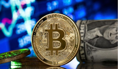 Đồng Bitcoin (Ảnh: Pinterest)