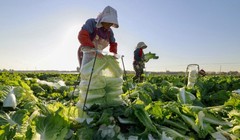 Hàng loạt vùng nông thôn tại Trung Quốc đang áp dụng AI vào cuộc sống hằng ngày. Ảnh: SCMP.