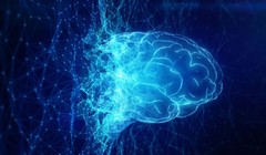 Liệu AI có thể có ý thức như con người. Ảnh: BGR.