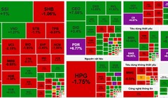 Nhiều cổ phiếu bứt phá mạnh trong phiên 8/8