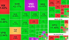 Cổ phiếu tài chính “dẫn sóng”, bất động sản trở lại trong tháng 8