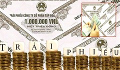 Phú Long, Luxury Living, Hoàng Trường ồ ạt mua lại trái phiếu trước hạn