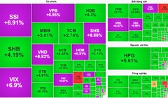 Chứng khoán bùng nổ tăng gần 50 điểm, hàng loạt cổ phiếu tăng trần