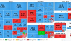Cổ phiếu nhóm tài chính, bất động sản giảm sàn la liệt. Nguồn: Vietstock