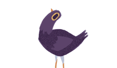 Con chim có tên là "Trash Doves"