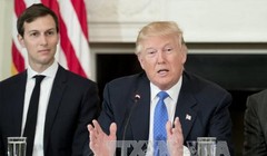 Tổng thống Mỹ Donald Trump và con rể Jared Kushner tại một cuộc họp ở Washington. Ảnh: EPA/TTXVN